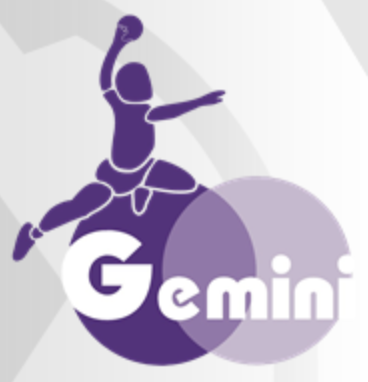Logo SV Gemini